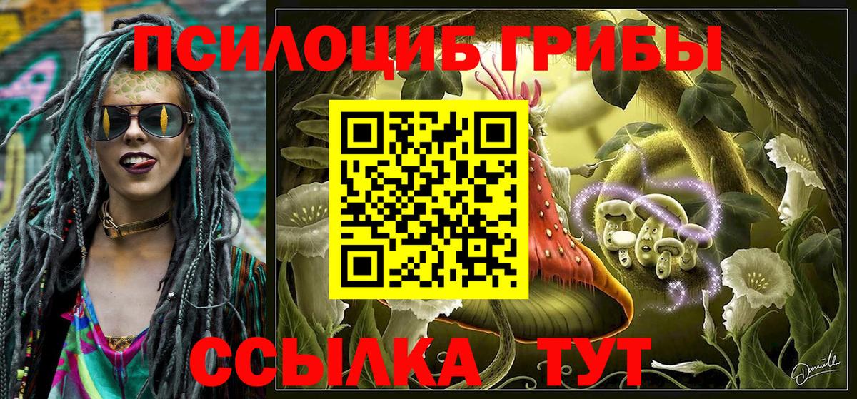 Галлюциногенные грибы Psilocybine cubensis Корсаков