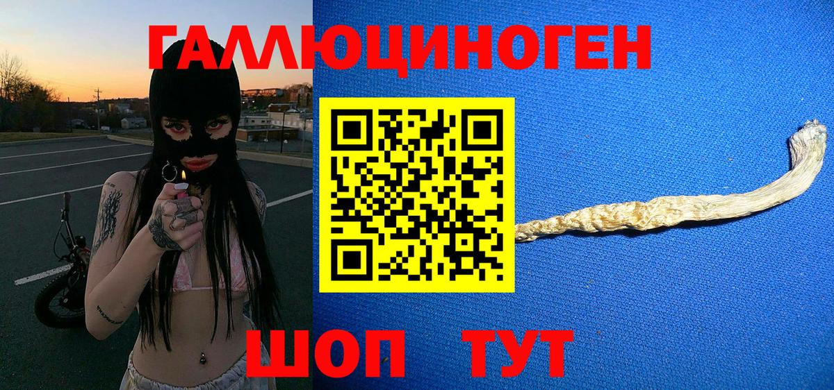 Корсаков  Галлюциногенные грибы мицелий  Вход с VPN 